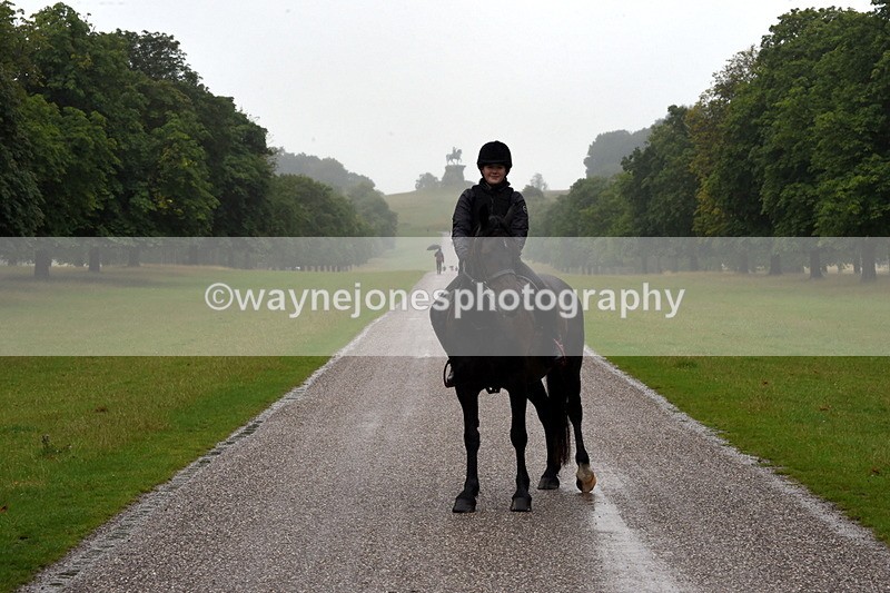 TT3_8492 - Time at Crossing 10:16 to 11:38