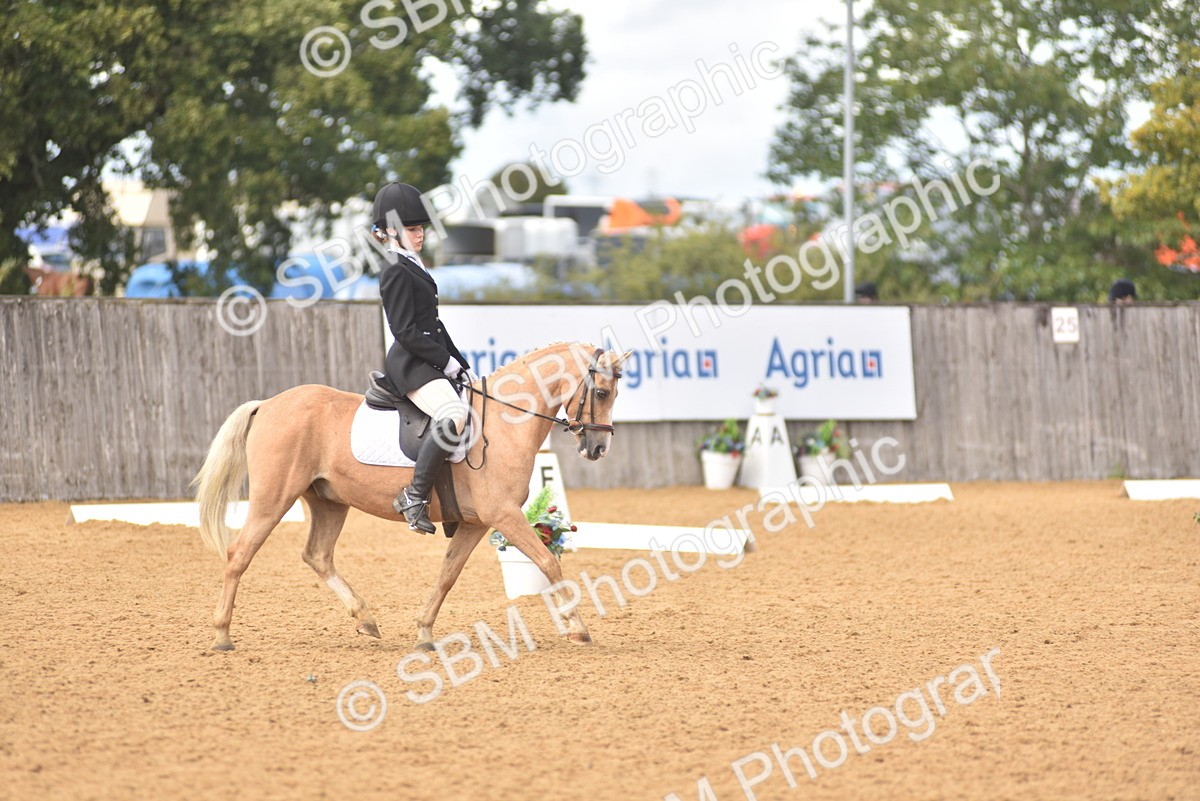 SBM_48666 - D22 - Junior Championship Intro 3