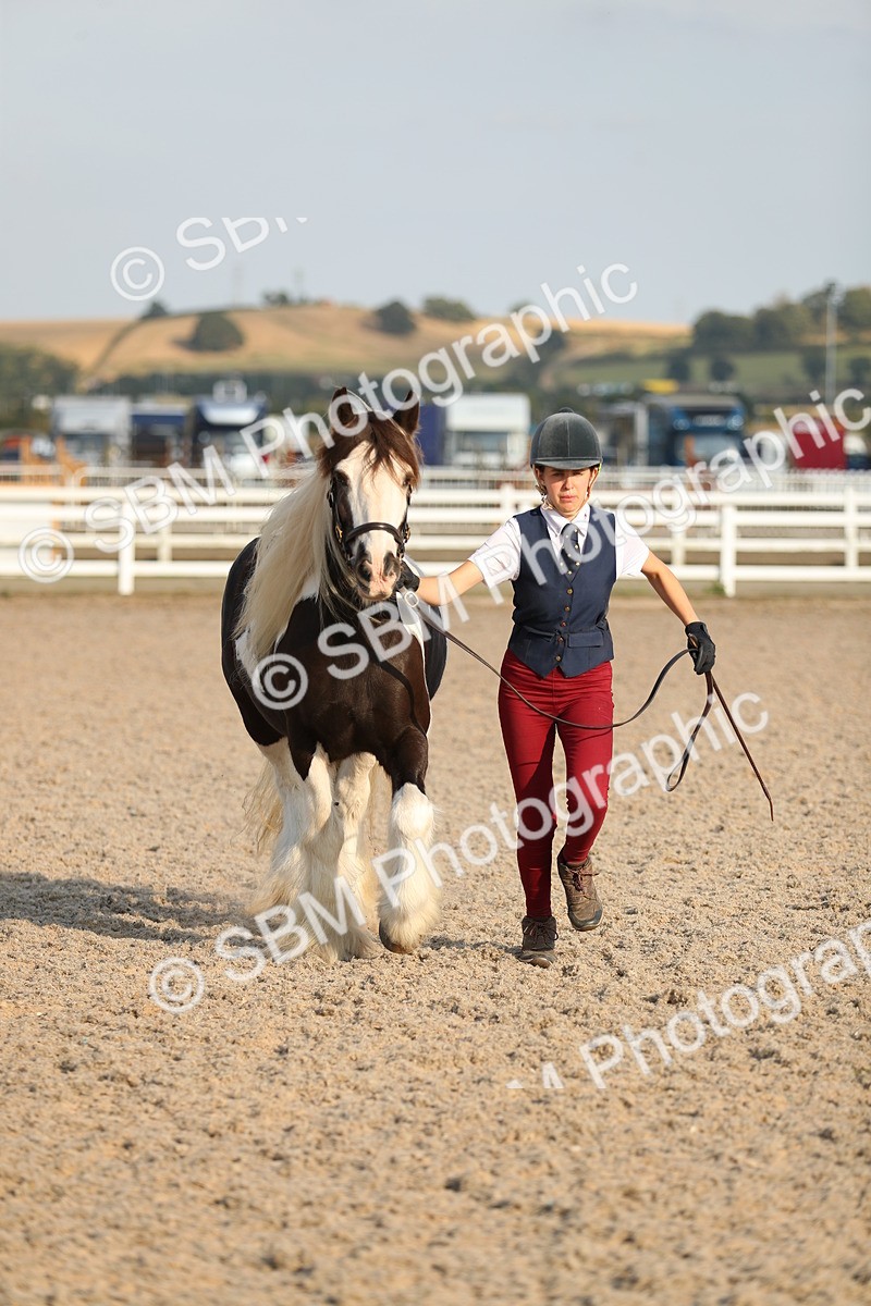 SBM_09078 - Class 29 IH Veteran Pony