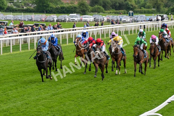 150524-Race 5-Diligent Resdev-4398 - Race 5 4.15pm Conundrum HR Consulting Handicap