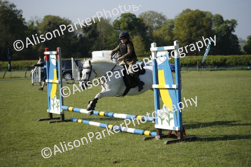 20250427-0351 - Class 12 - Rookie Jumping 40cm