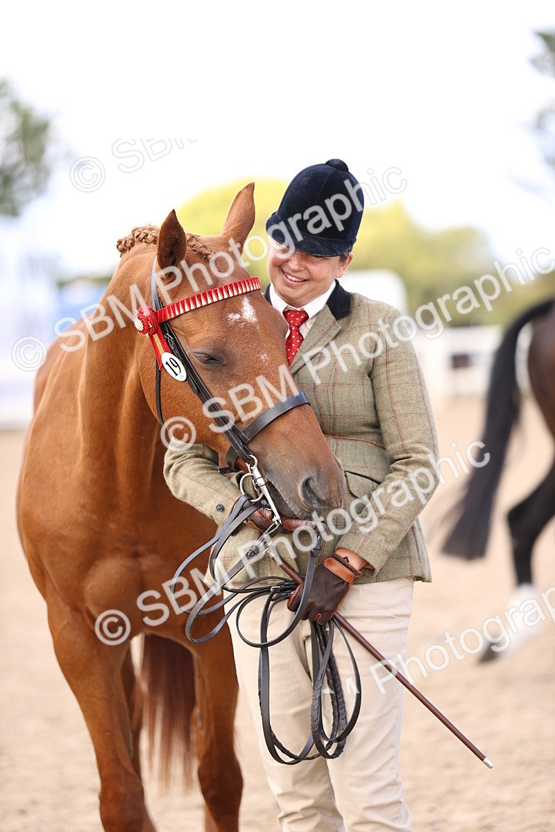 SBM_11556 - Class 407 - IH Hack-Riding Horse