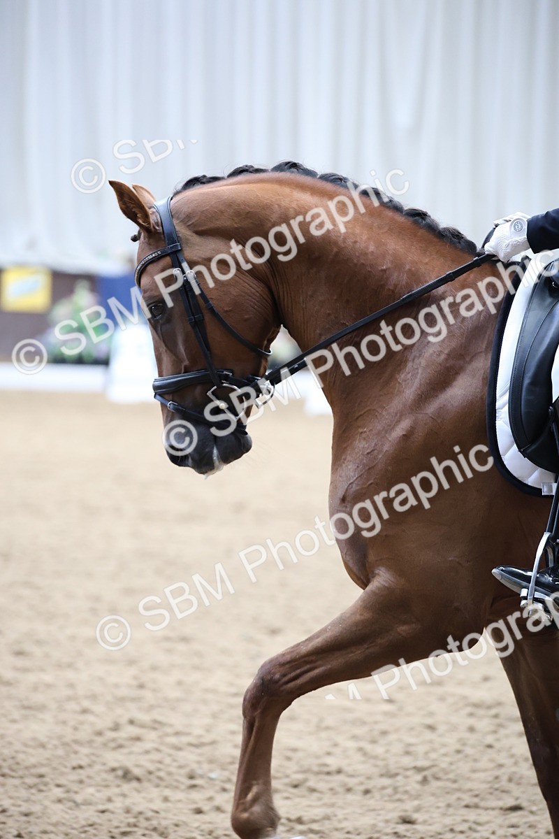 SBM_002903 - Class 5 - Novice 6 Gold - 10.24-11.30