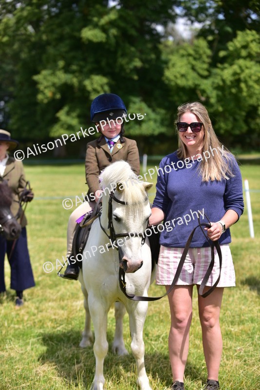 20260614-1307 - Class 11a - Lead Rein Pony (Unplaited)