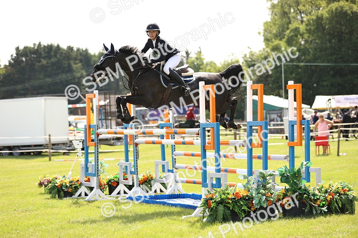 SBM_03064 - Class 201 - British Horse Feedds Speedi Beet HOYS Grade C