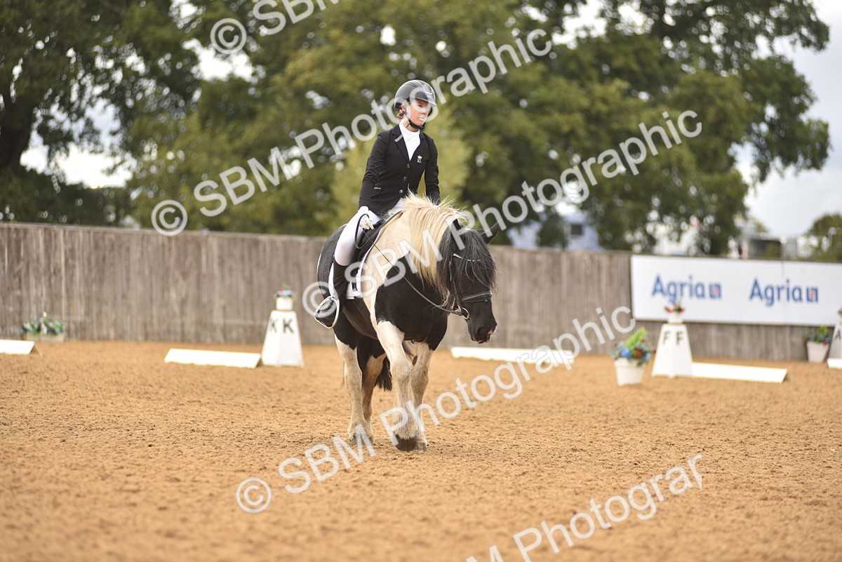 SBM_42555 - D22 - Junior Championship Intro 3