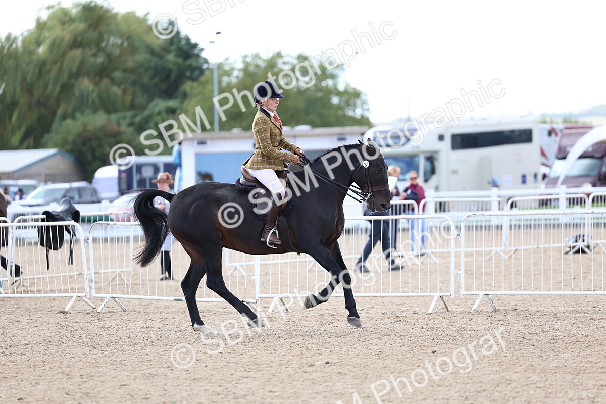 SBM_10083 - Class 304 - Ridden Part Bred Horse Pony