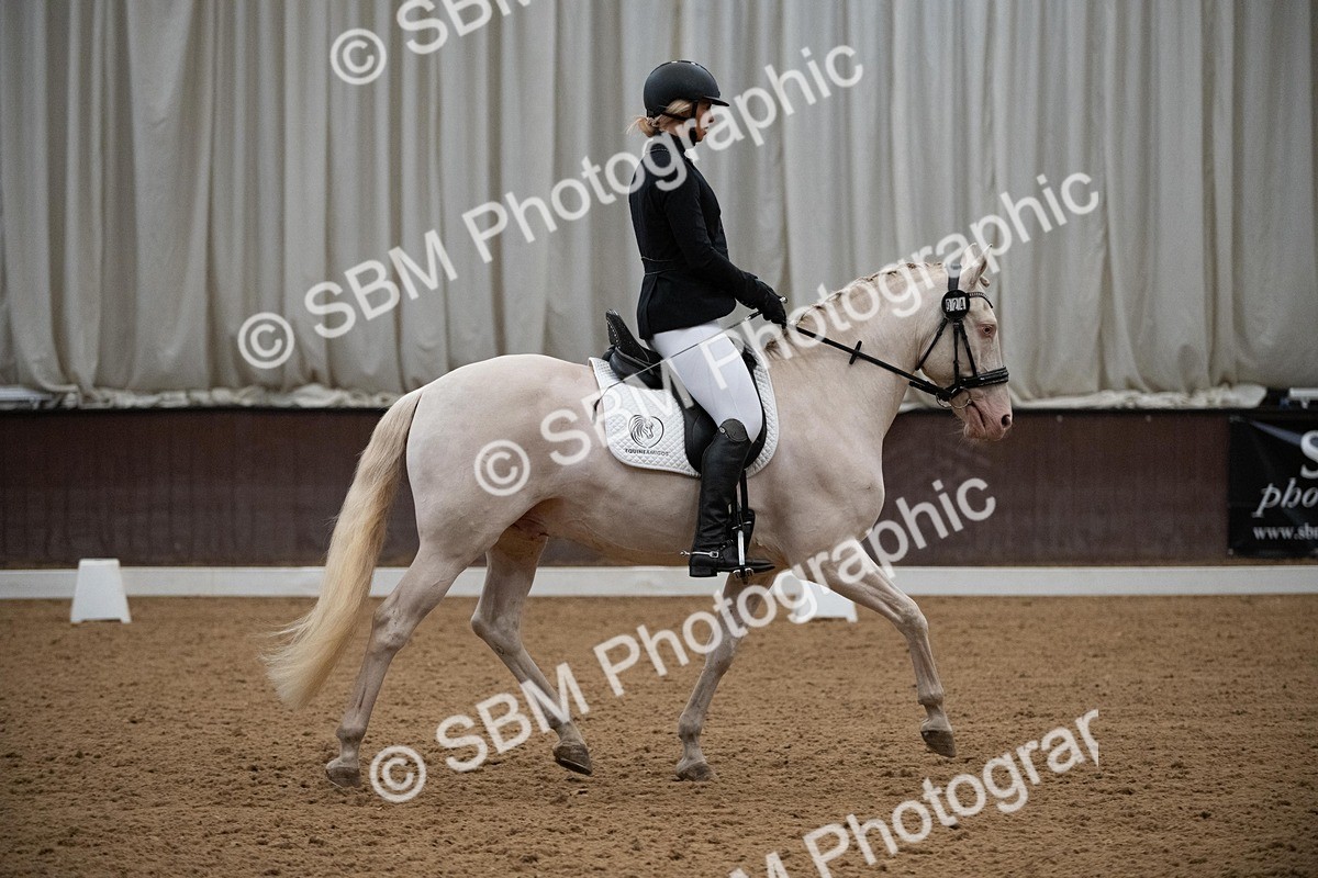 DSC_1054 - Class 2 - P4 (Now online)