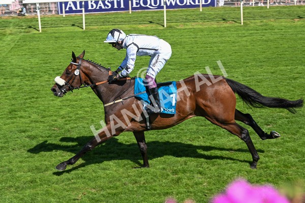 120725-Race 4-Al Qareem-5809 - Race 4 3.45pm John Smith's Silver Cup Stakes