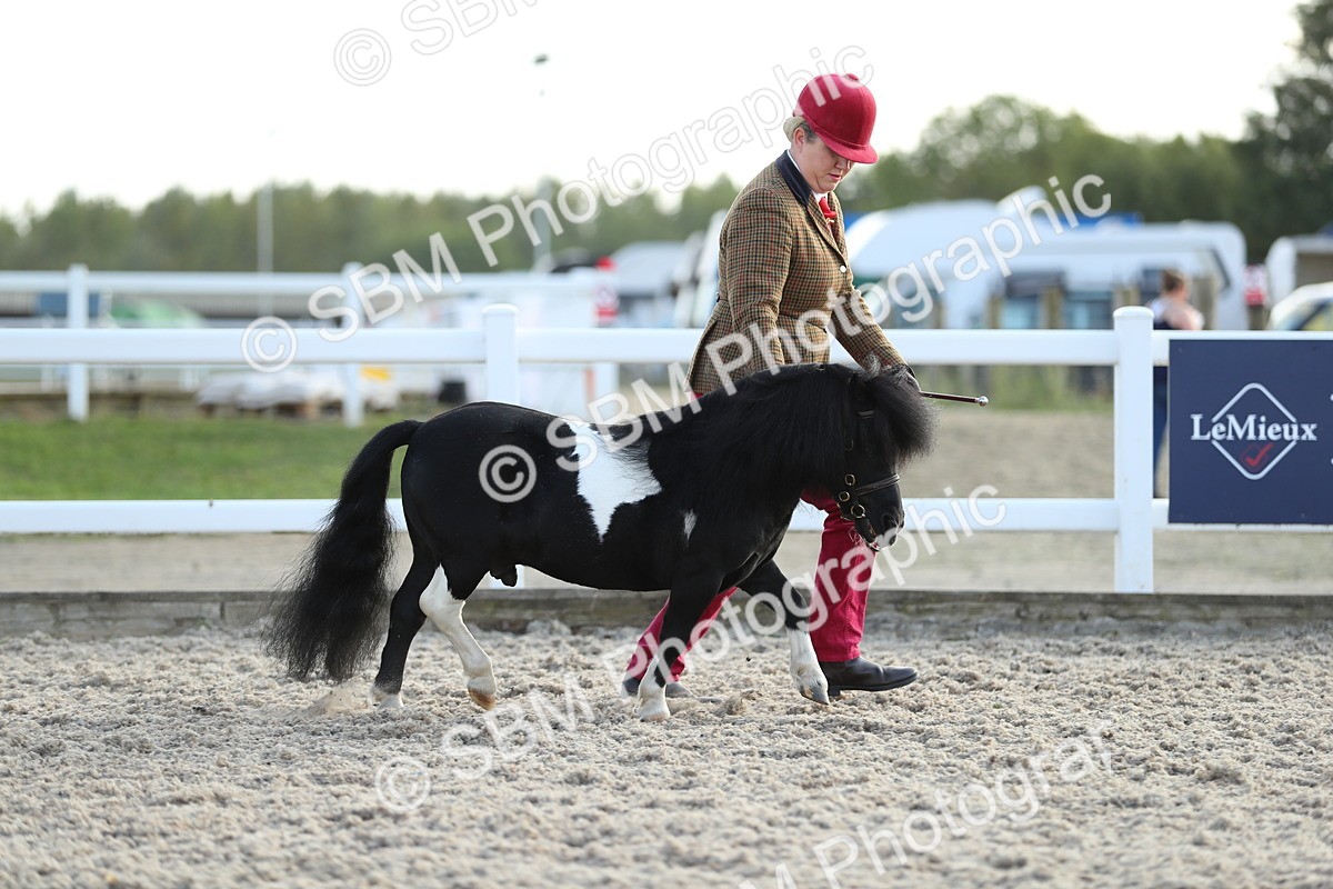 SBM_08925 - Class 29 IH Veteran Pony