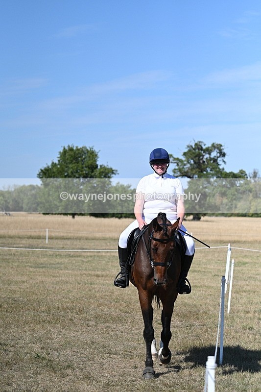 WJ7_1522 - Class 42 Most Handsome Gelding