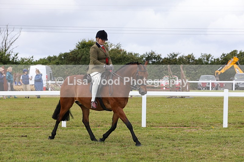 1X9A4241 - Plaited Ridden Championship