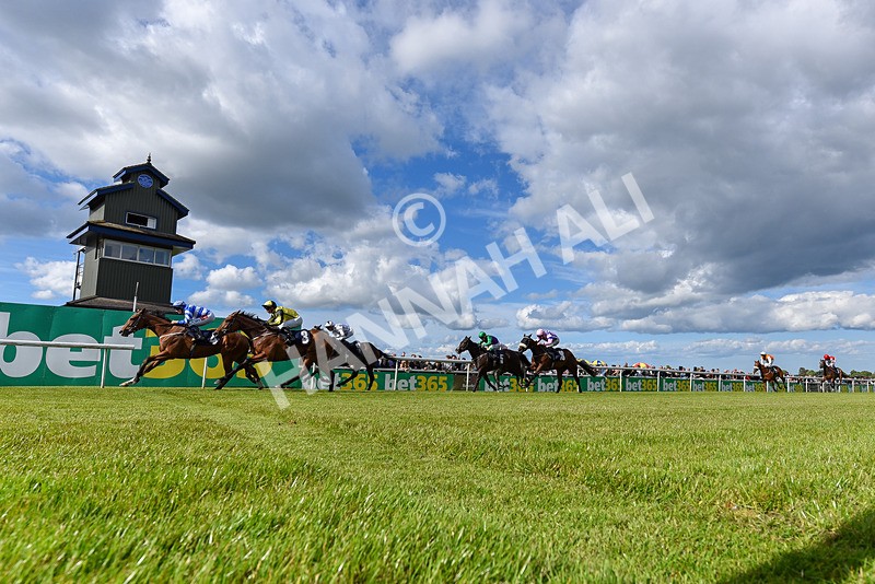 080624-Race 7-This Years Love-8308