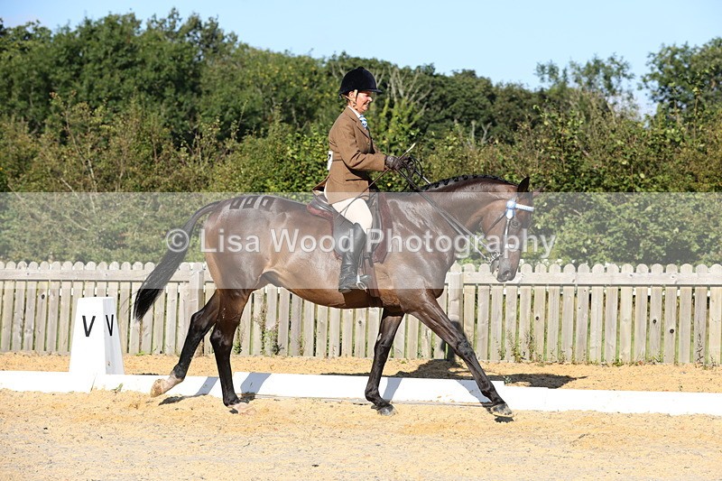 1X9A7553 - Class 7: Novice Ridden Hunter/Hack/Cob/Riding Horse