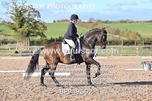 BPP_9602 - LONG ARENA