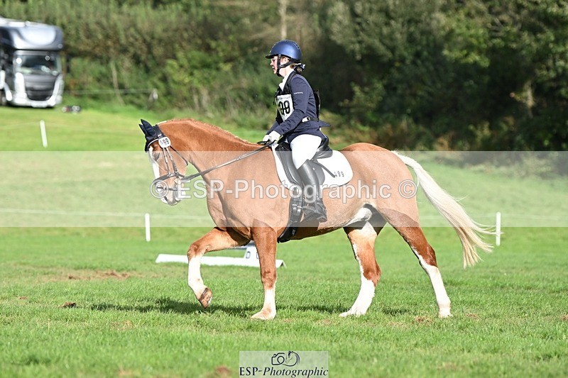 231020-143920-10709 - 499-GORFELYN.PETER.THE.GREAT-Charlotte.Bellamy-DR