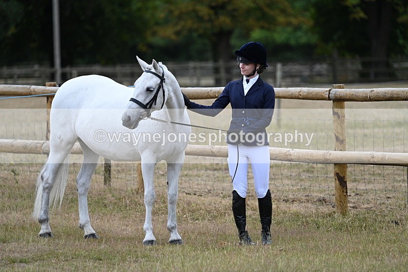 WJ7_8801 - Class 4a Prettiest Mare 14.2hh and over