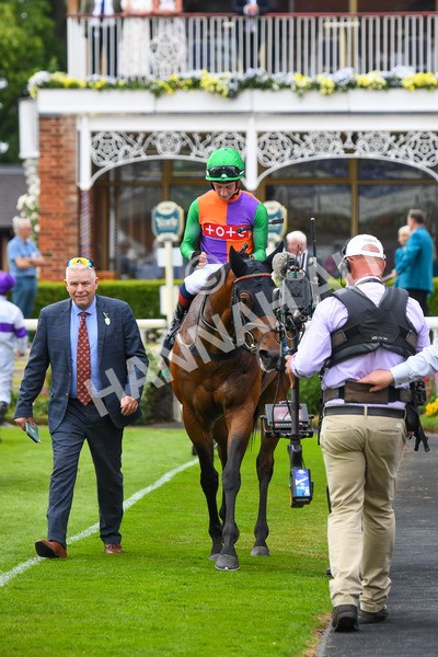170623-Race 4-Quinault-0645 - Race 4 3.40pm Oakmere Homes Supporting Macmillan Sprint Handicap