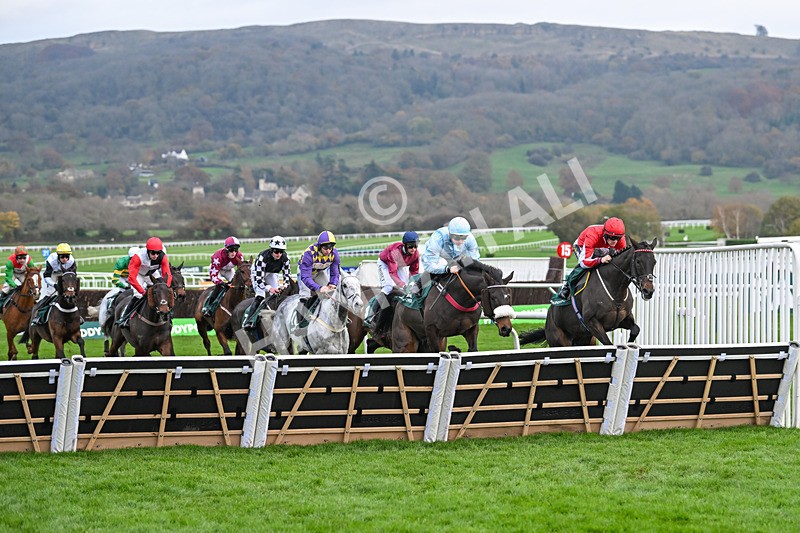 161124-Race 5-Pinnacle Peak-0902