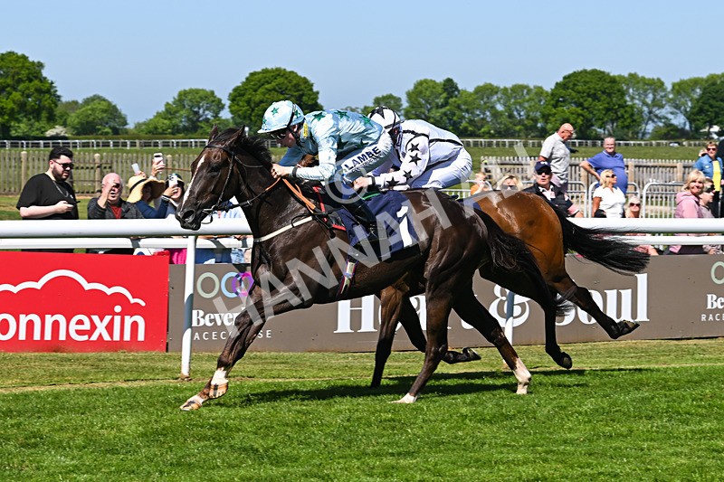 130525-Race 2-Bust A Moon-9613 - Race 2