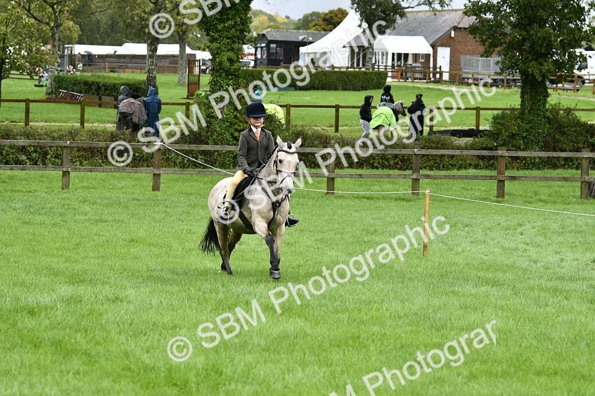 SBM_35551 - S30 - Nursery Stakes Working Hunter Pony