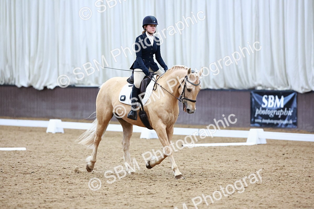 0B8A8276 - Class 5 - Novice 2