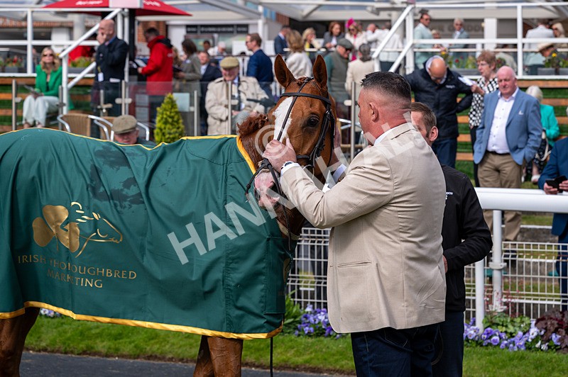 150526-Race 6-Fortification-3158 - Race 6 4.40pm Irish Thoroughbred Marketing Handicap
