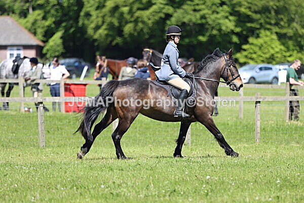 IMG_4158 - Working Hunter