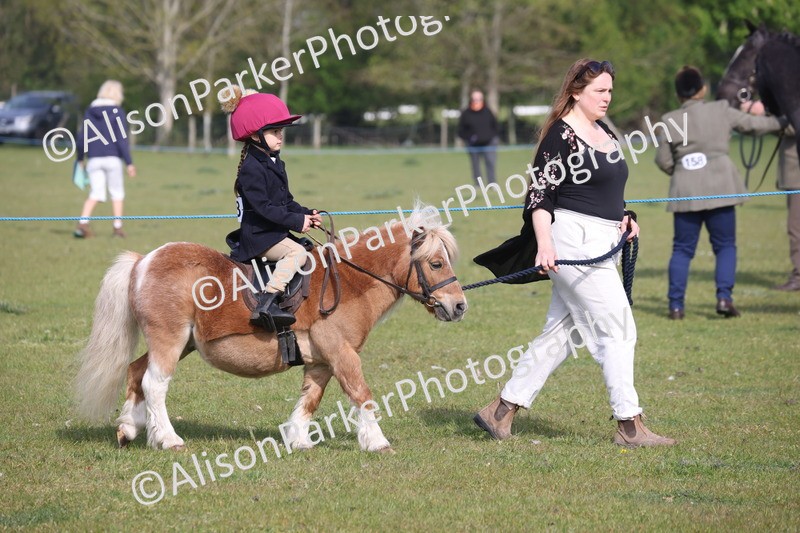 20260426-0277 - Class 30 - Tiny Tots Lead Rein