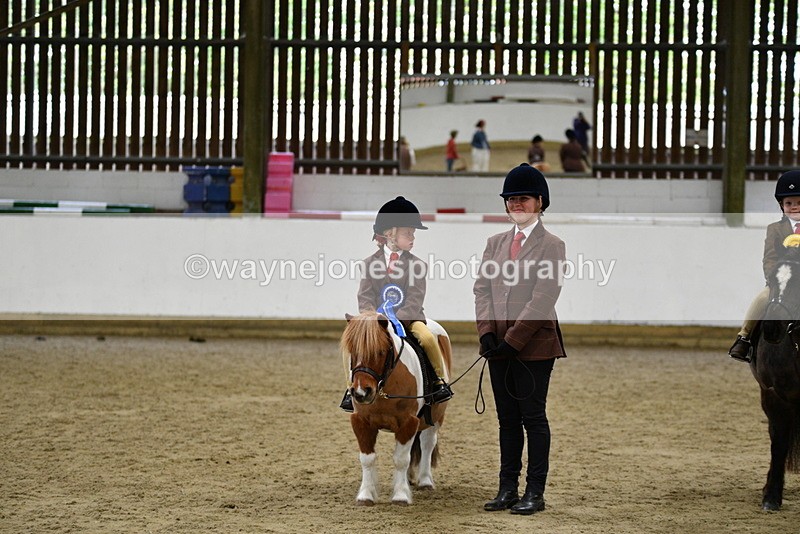 WJ5_7137 - Class 10 Childs Pony