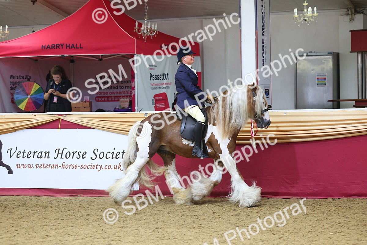 SBM_24516 - Class 906 - Supreme Final - Ridden Pre Vet