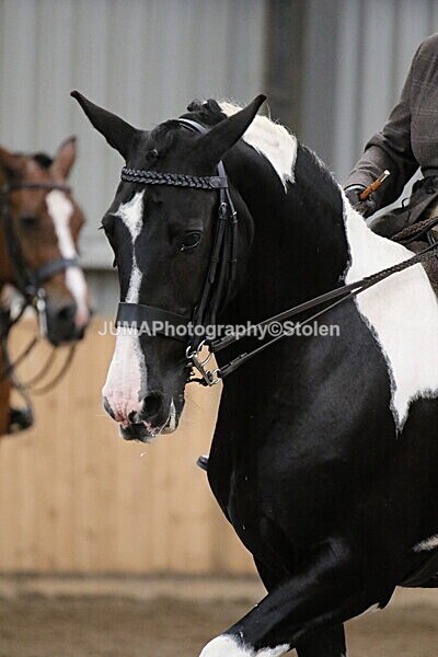 SIAL3071 - Sunday 14th Ridden