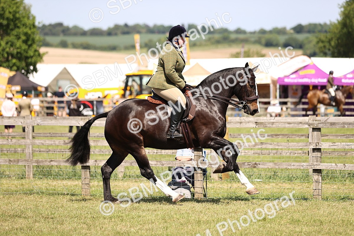 SBM_17844 - Class 81-83 - TSR Ridden Amateur of the Year - Horses