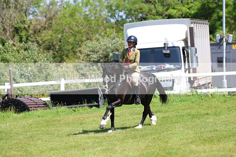 3E7A6752 - Working Hunter Pony Championship