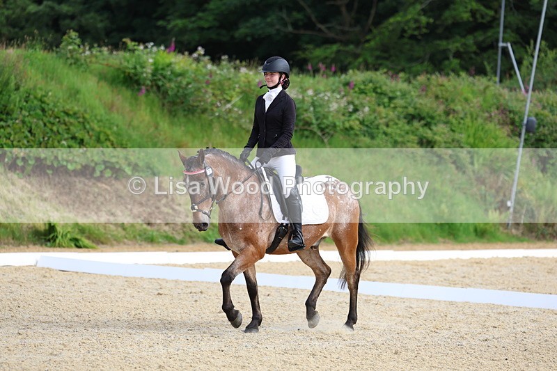 3E7A1427 - Class 2: Intro 2 2024 Section B