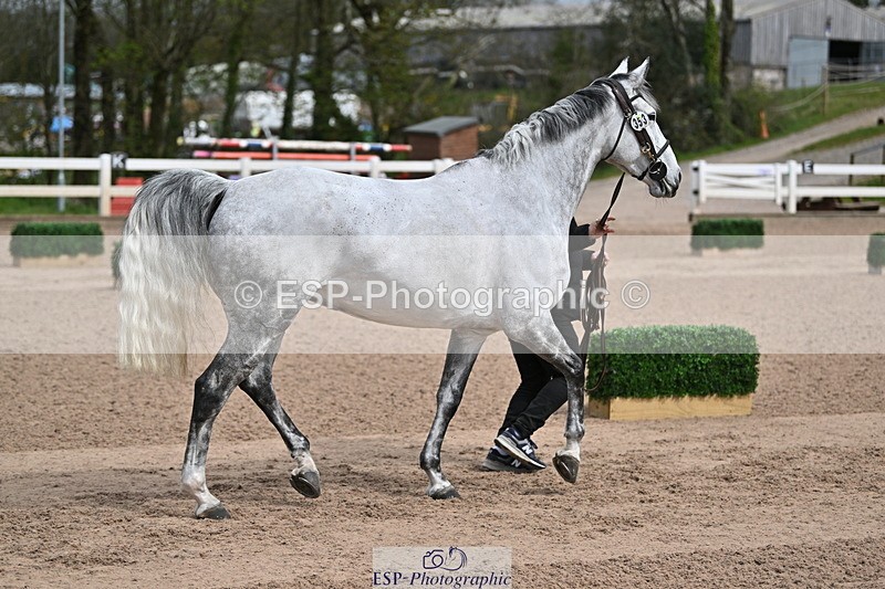 240417A-115841-00068 - 11am to 12pm