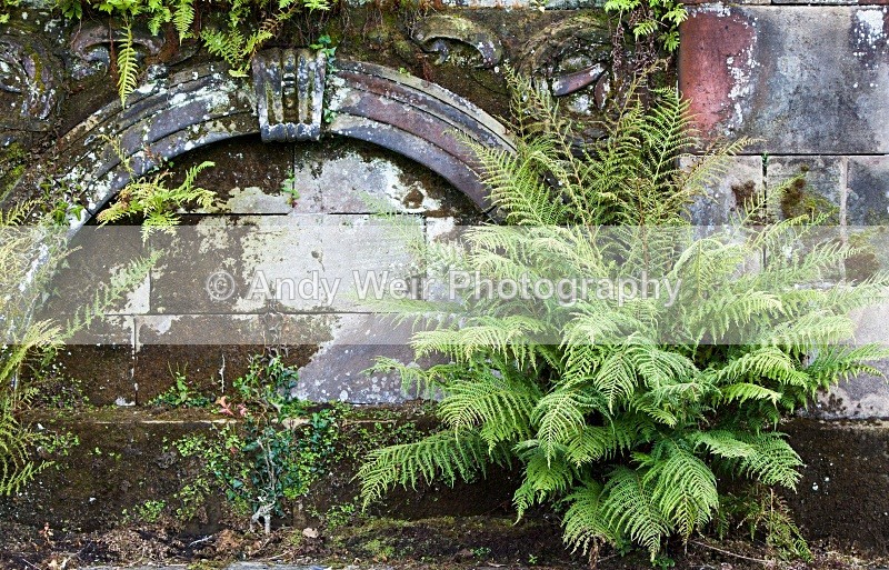 20100822_0314 - Miscellaneous Photographs