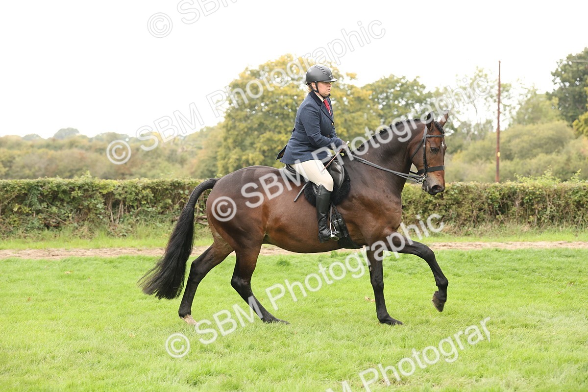 SBM_63031 - S64 - Foreign Breeds Ridden