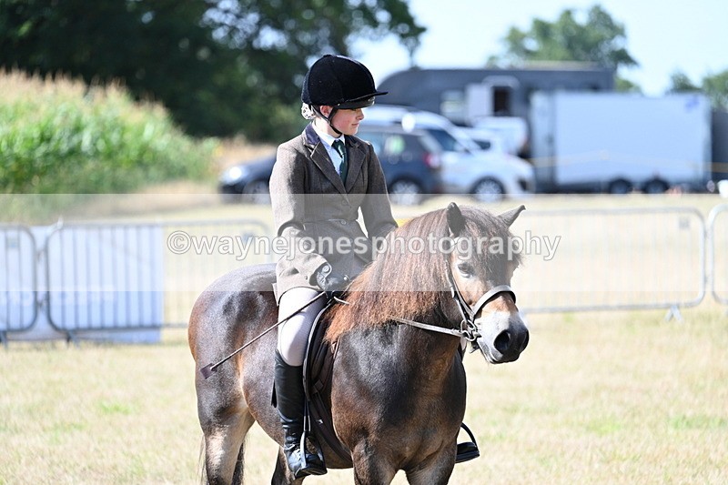 WJ7_2734 - Class 8 Ridden Tack & Turnout