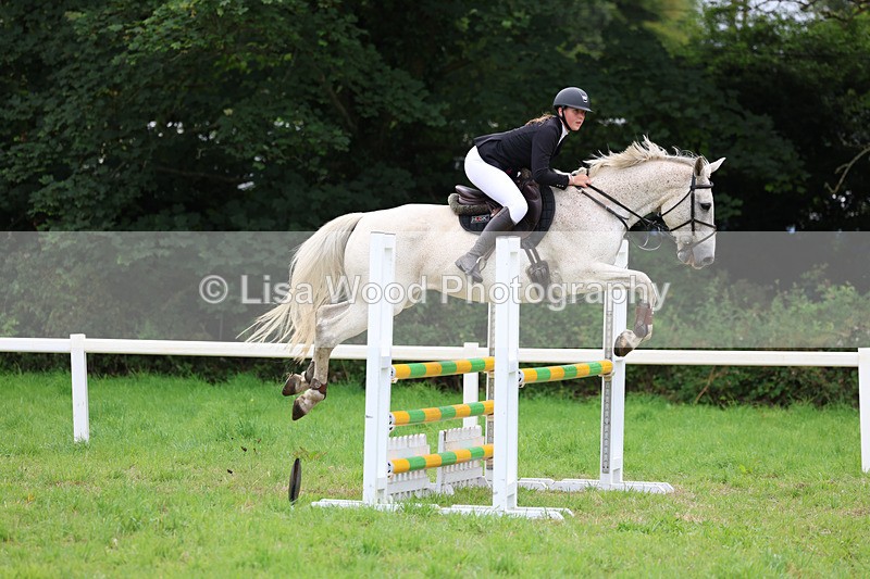 3E7A7100 - Class 5: Senior British Novice/90cm open