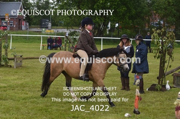 JAC_4022 - 40CM WORKING HUNTER