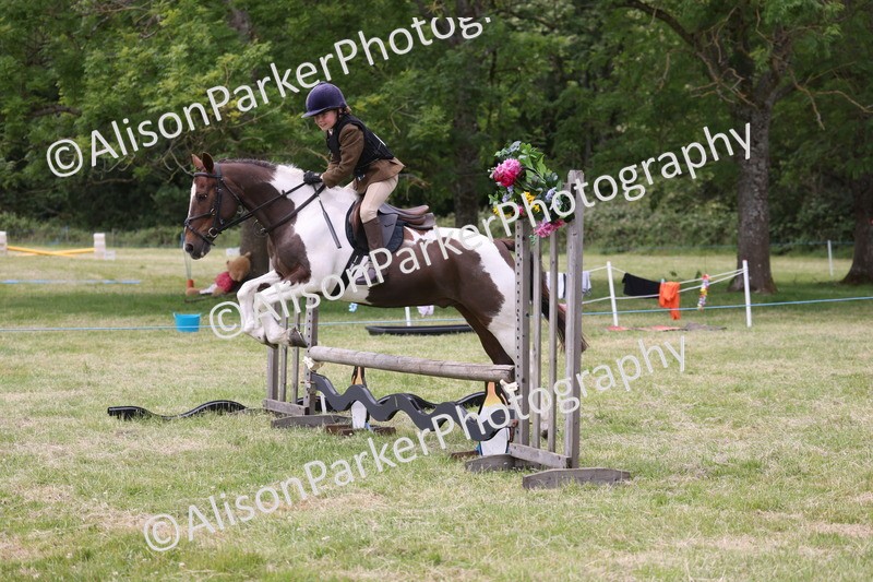 20260614-3052 - Class 22 - Open Working Hunter