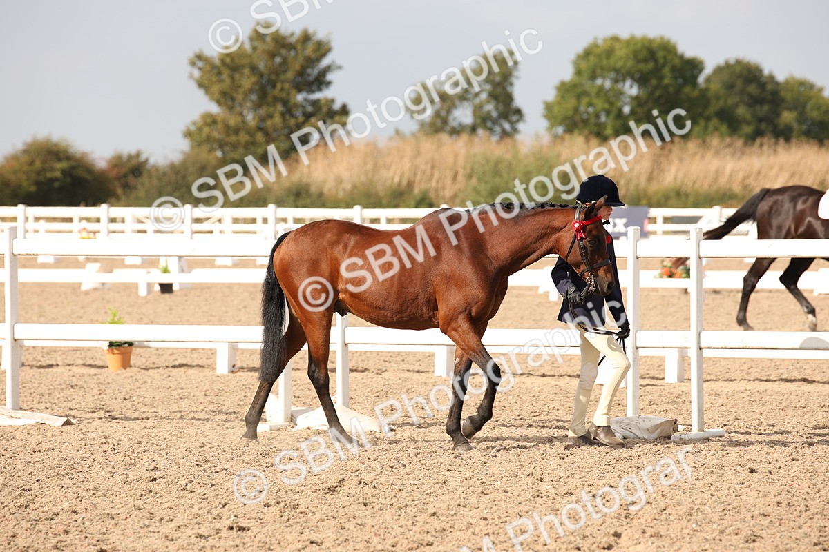 SBM_08124 - Class 27 - IH Competition Horse-Pony