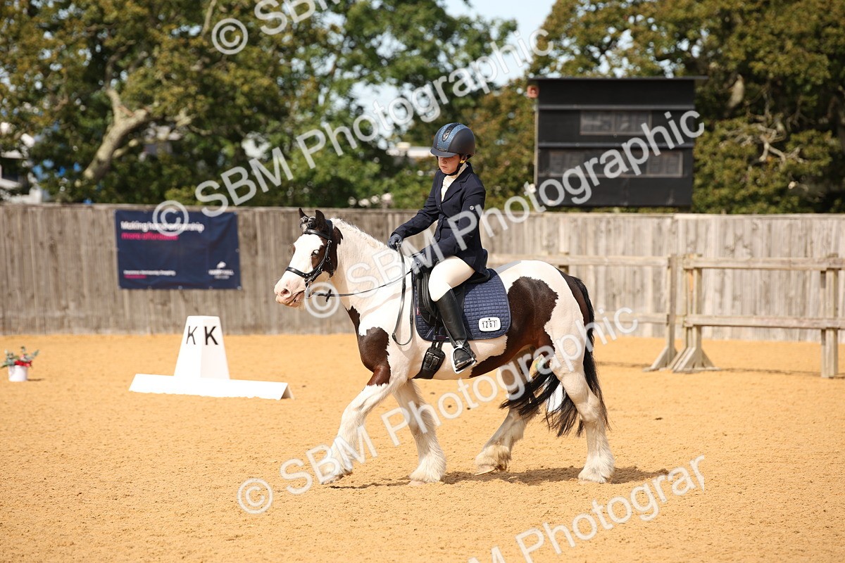 SBM_21786 - D5 - Small Tour Championship - Intro C