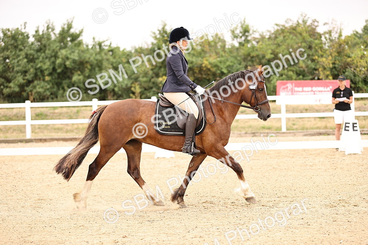 SBM_005313 - Intro 3 - 8.30-9.30