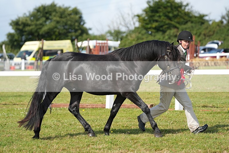 DSC05111 - Class 48: NPS M&M 2/3 year olds