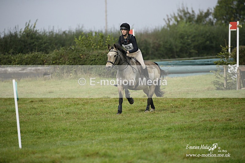  WWHT 171021 0713 - Open Novice (0.80m)  17/10/21