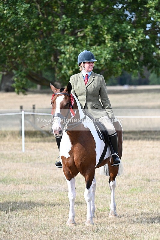 WJ7_7816 - Ridden Championship