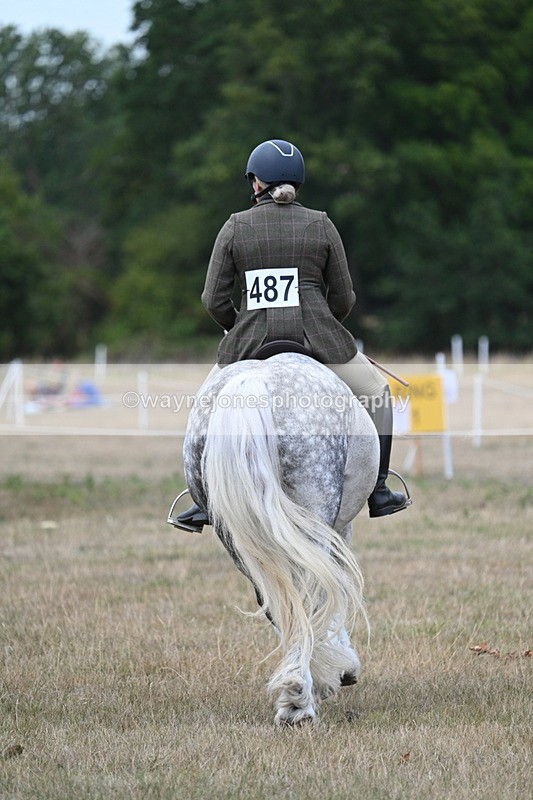 WJ7_4930 - Class 12 Ridden Cob