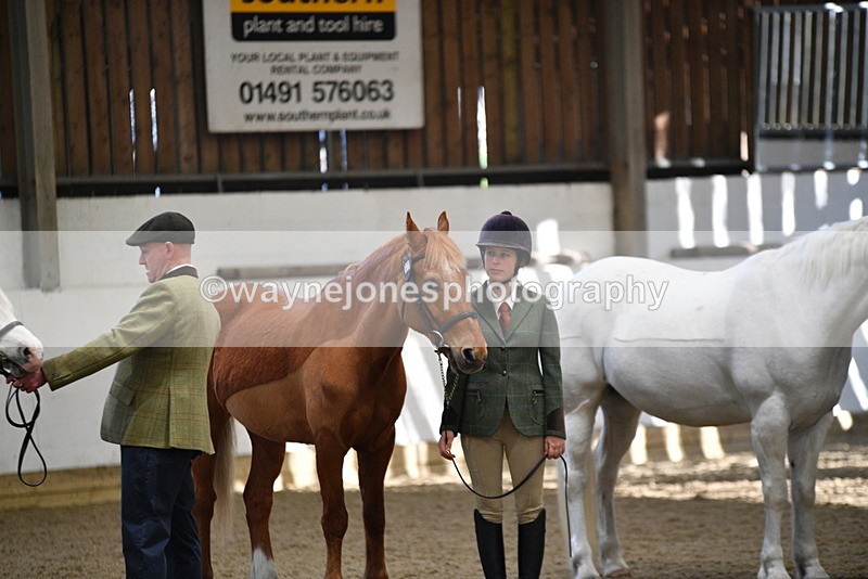 WJ5_3539 - Class 5 In Hand Veterans